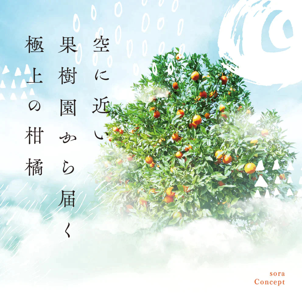 みかん 愛媛産/天空の果実/サイズ混合/訳あり 10kg