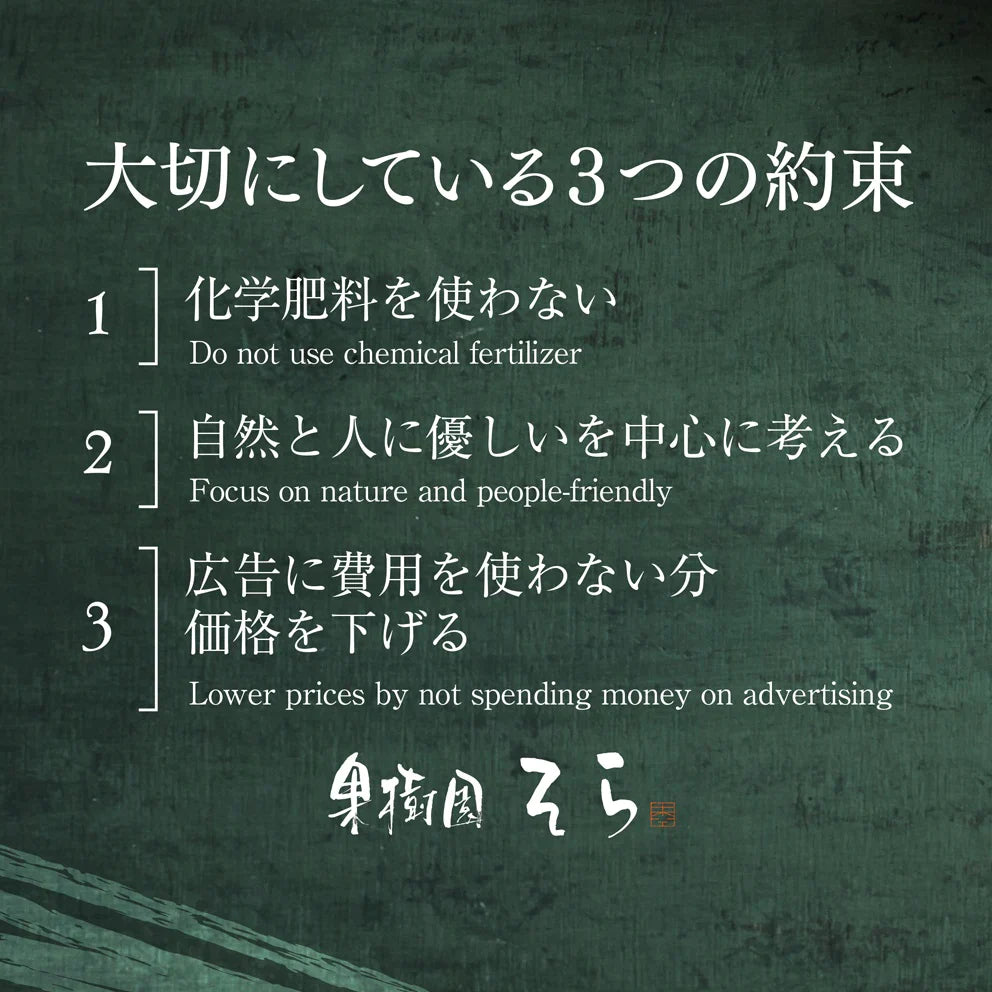 みかん 愛媛産/天空の果実/サイズ混合/訳あり 10kg