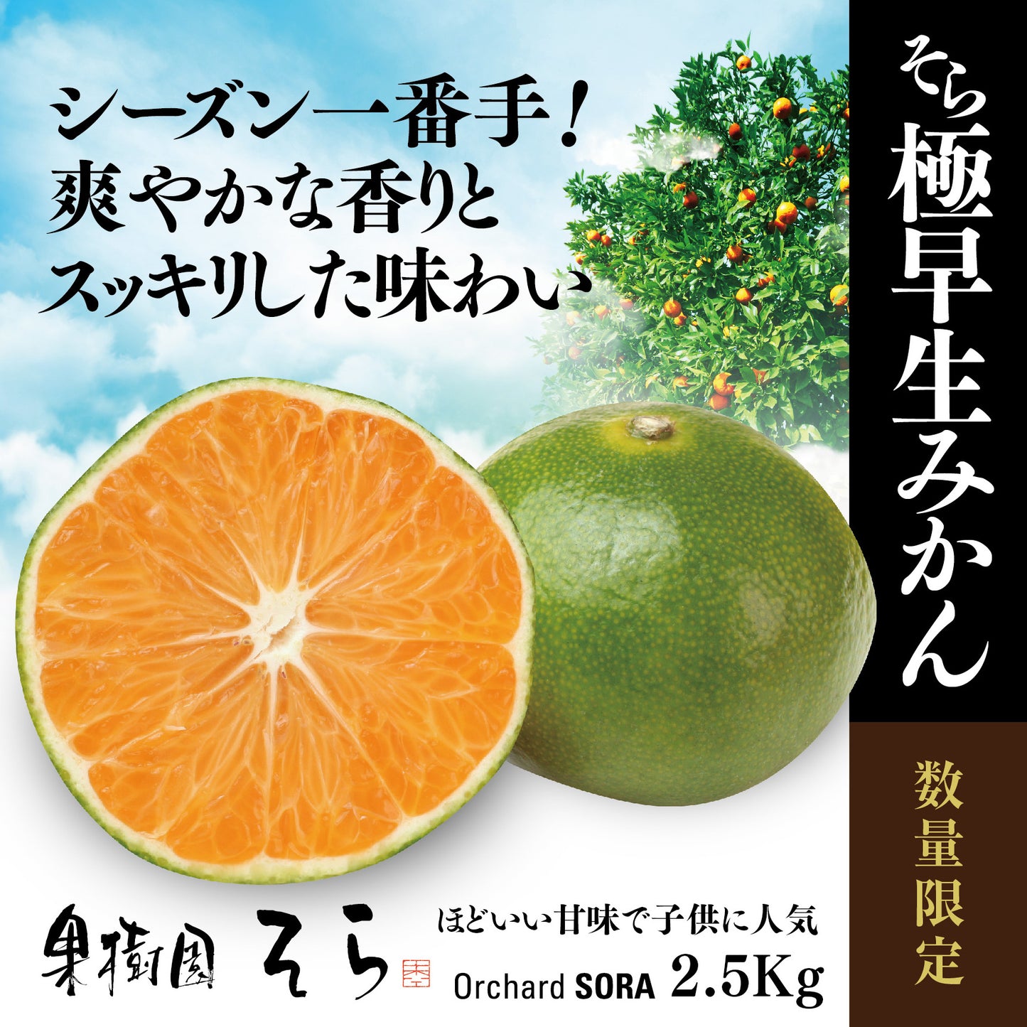そらみかん 愛媛産/極早生 2.5kg