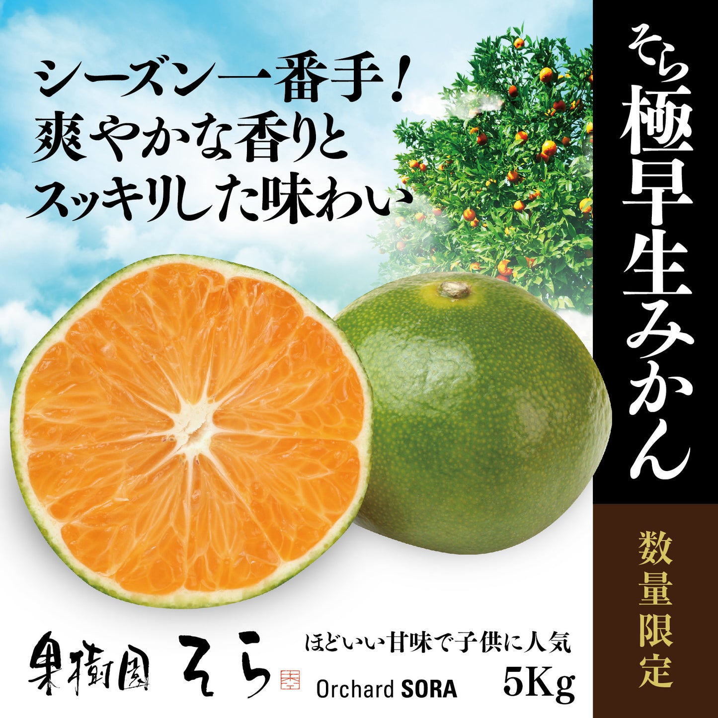そらみかん 愛媛産/極早生 5kg