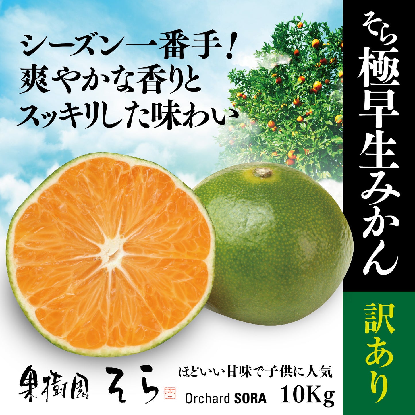 そらみかん 愛媛産/極早生/訳あり 10kg【ご予約2025/9/20~順次発送】