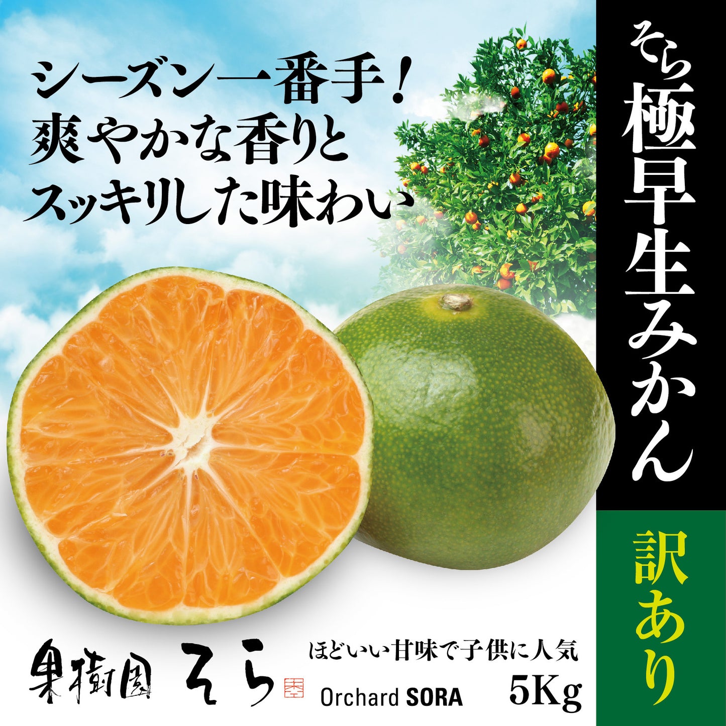 そらみかん 愛媛産/極早生/訳あり 5kg【ご予約2024/9/20~順次発送】