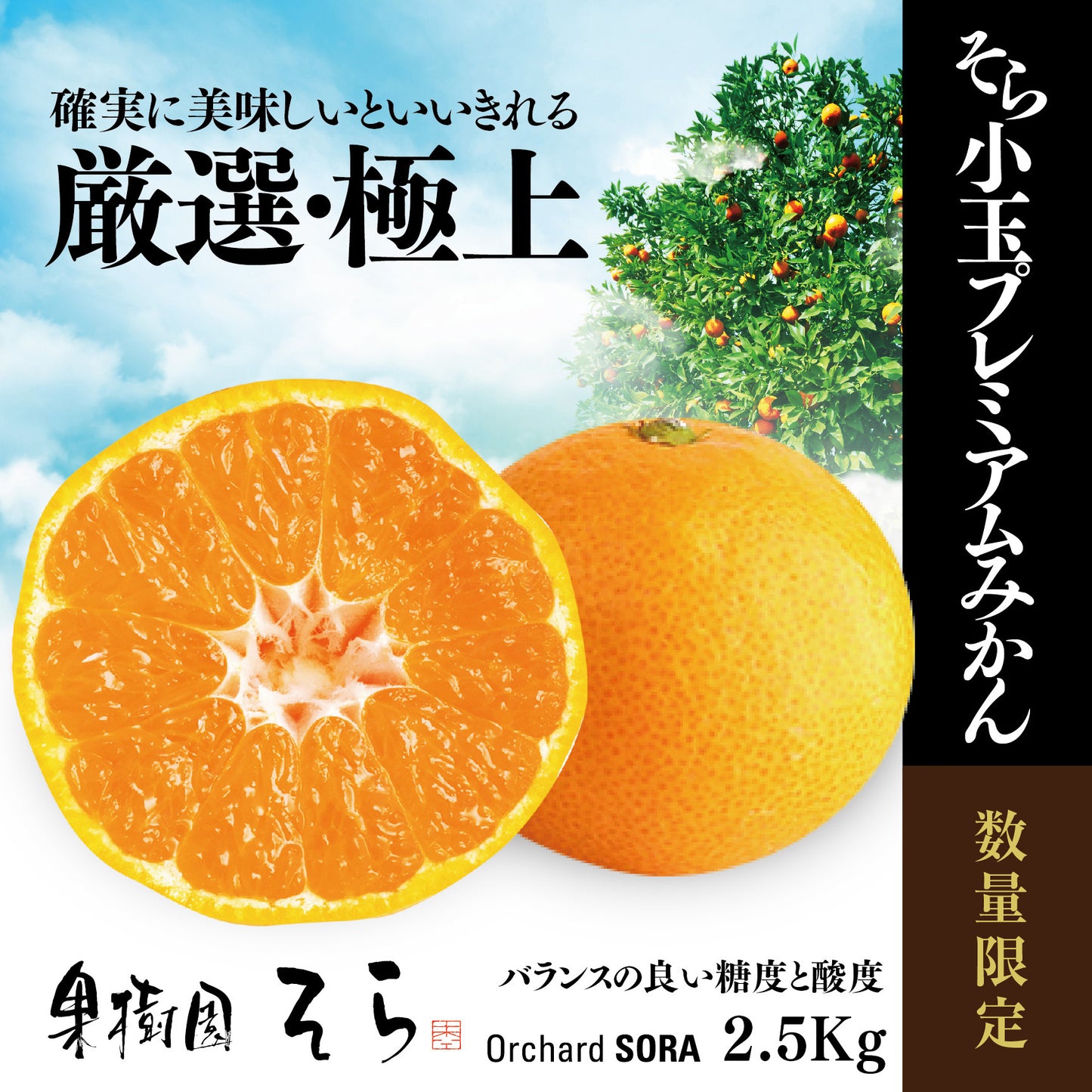 みかん 愛媛産/極上小玉 2.5kg