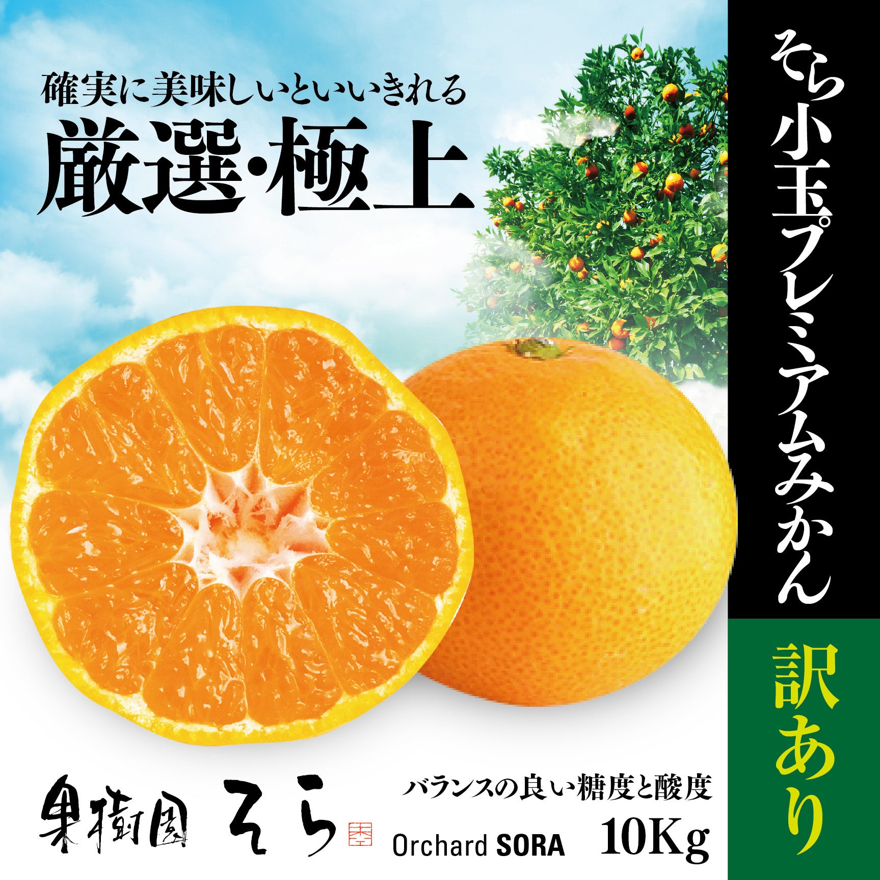 愛媛県産 超訳あり甘平10kg！ - 果物