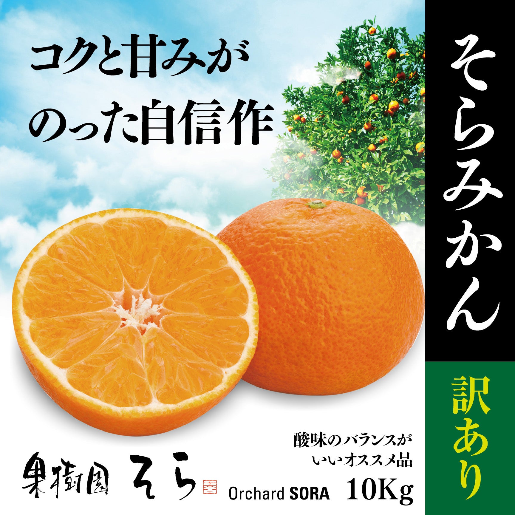 果樹園そら　みかん　10kg　愛媛産/天空の果実/サイズ混合/訳あり　–