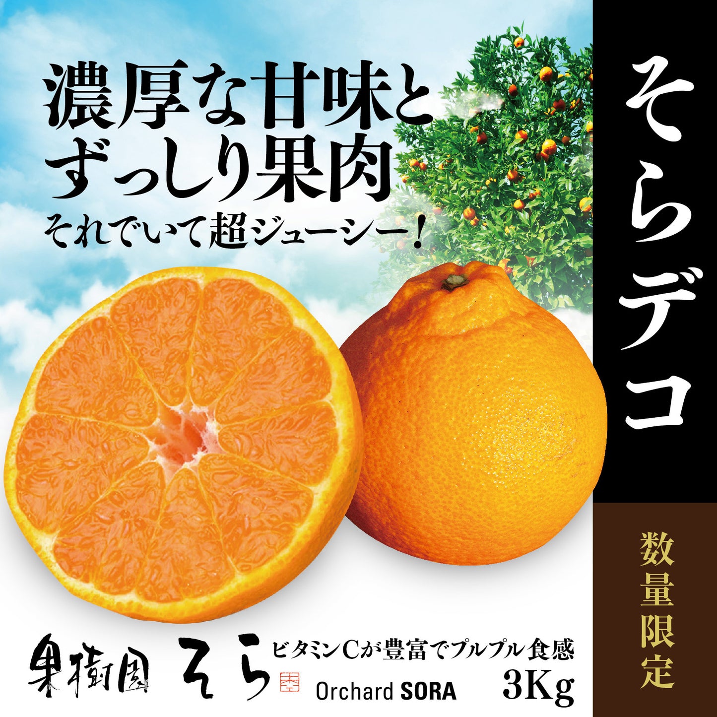 そらデコ 【愛媛産みかん/サイズ混合/不知火】 3kg