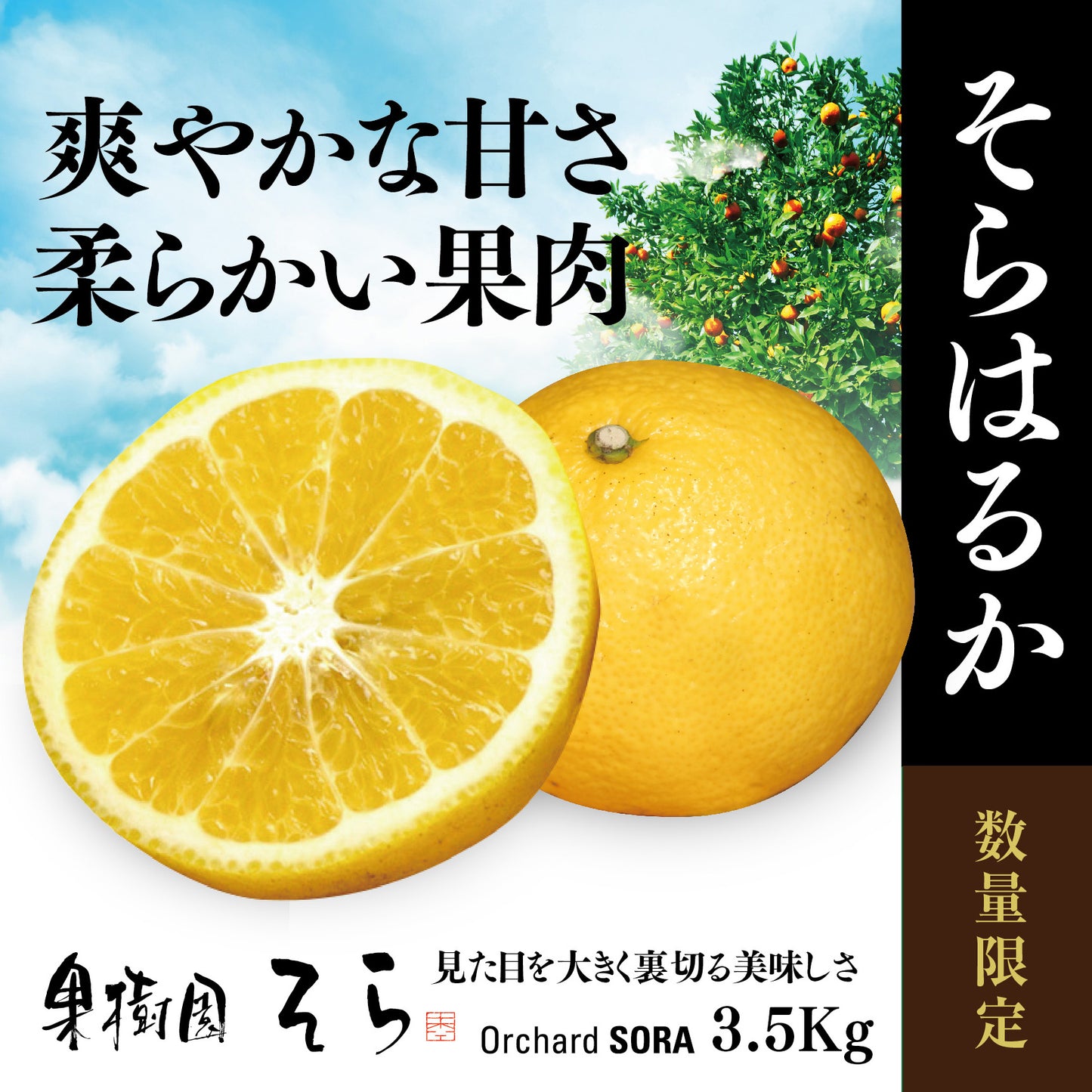 そらはるか【農家直送/びっくりする甘さ】3.5kg