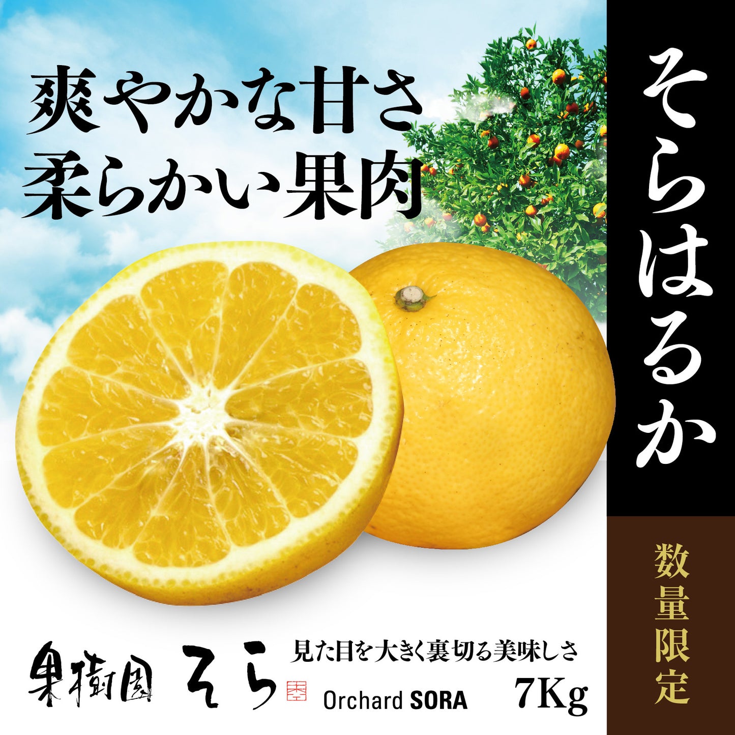 そらはるか【農家直送/びっくりする甘さ】7kg