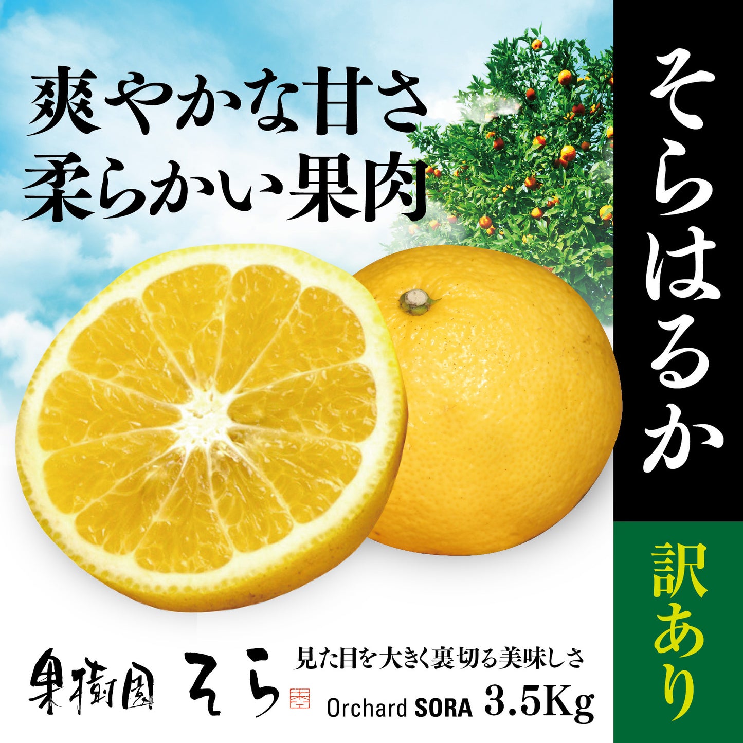 そらはるか【農家直送/訳あり】3.5kg