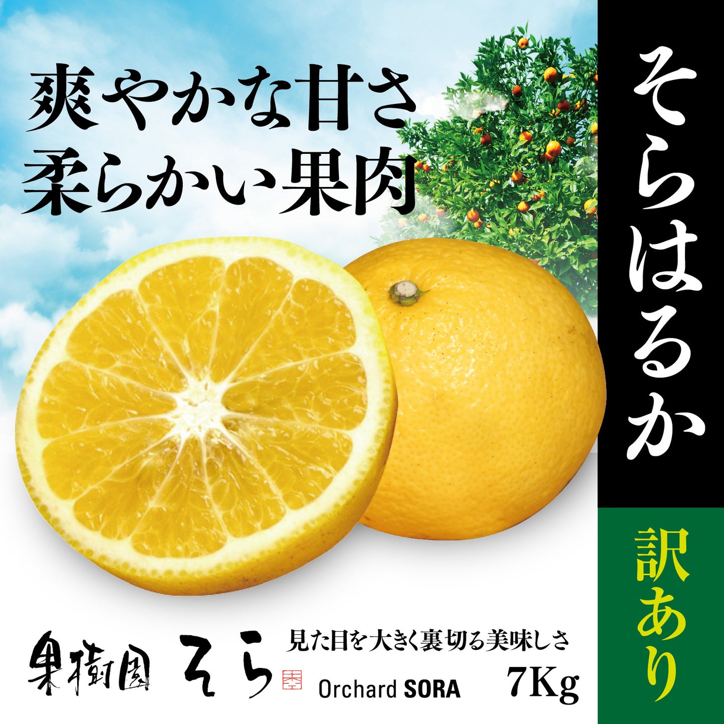 そらはるか【農家直送/訳あり】7kg