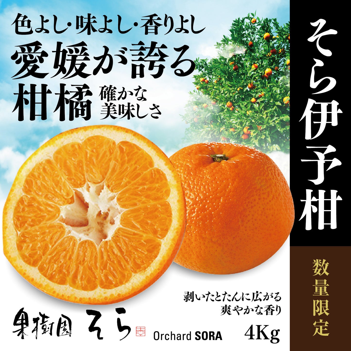 そら伊予柑【農家直送/癒される香り】4kg