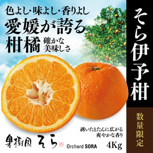 そら伊予柑【農家直送/癒される香り】4kg