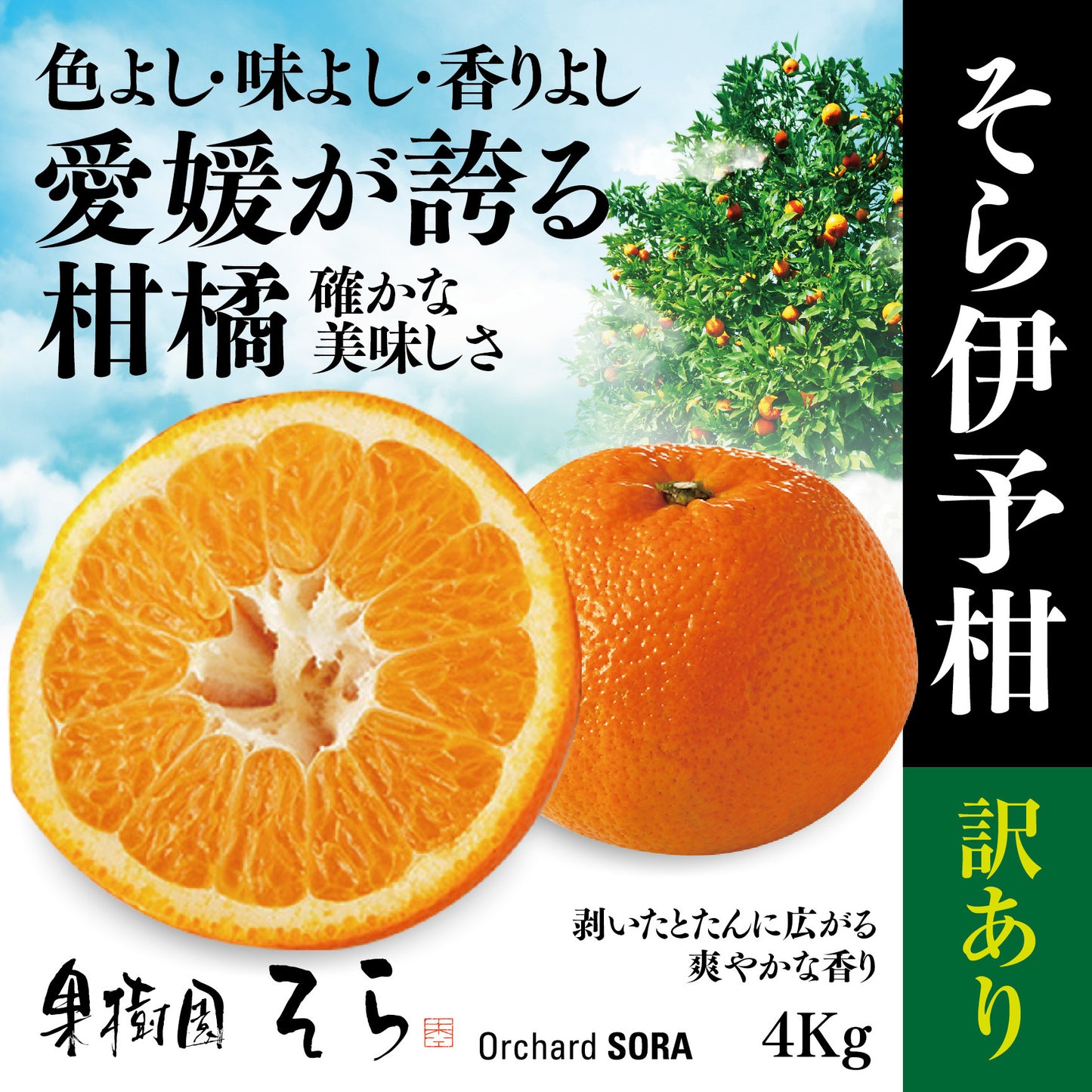 そら伊予柑【農家直送/訳あり】4kg