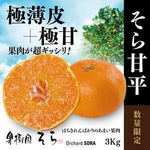 そら甘平 愛媛産みかん/極上の甘み3kg