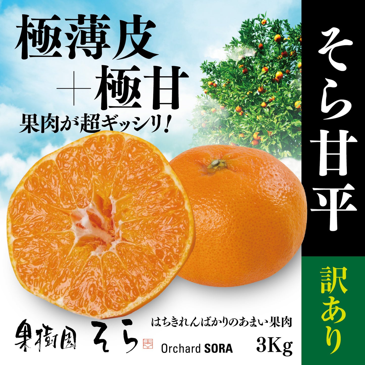 そら甘平 愛媛産みかん/訳あり3kg
