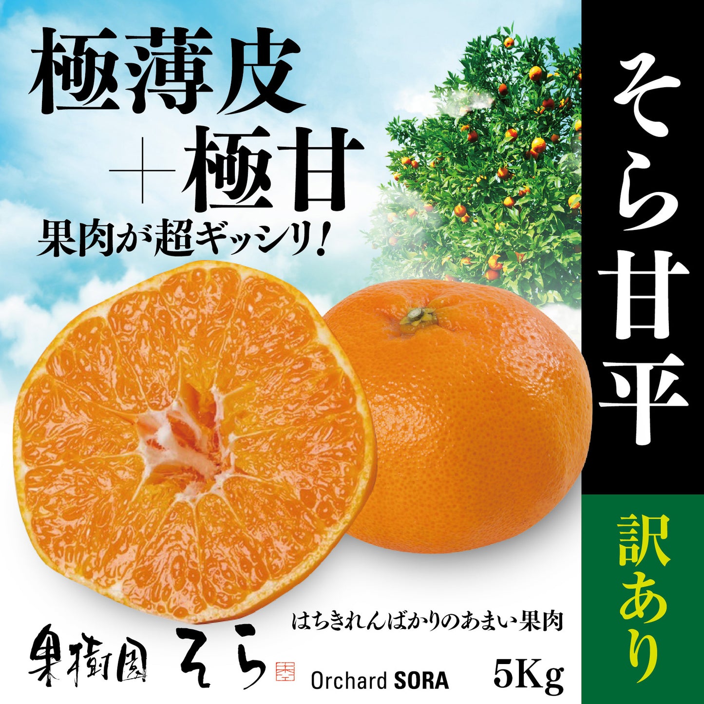 そら甘平 愛媛産みかん/訳あり5kg