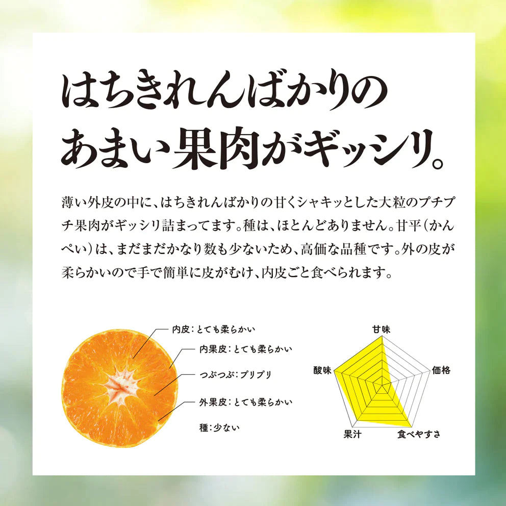 そら甘平 愛媛産みかん/訳あり5kg