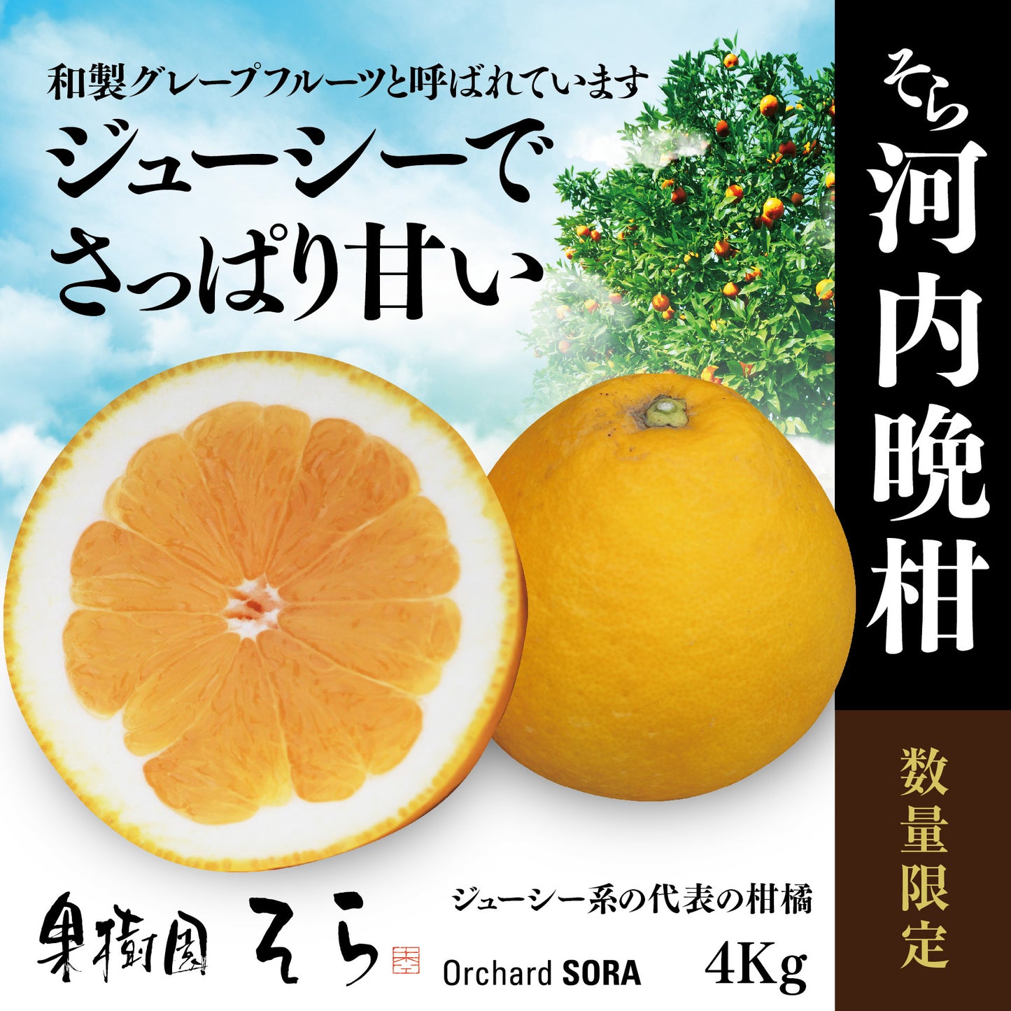 そら河内晩柑【農家直送/さっぱり甘み】4kg