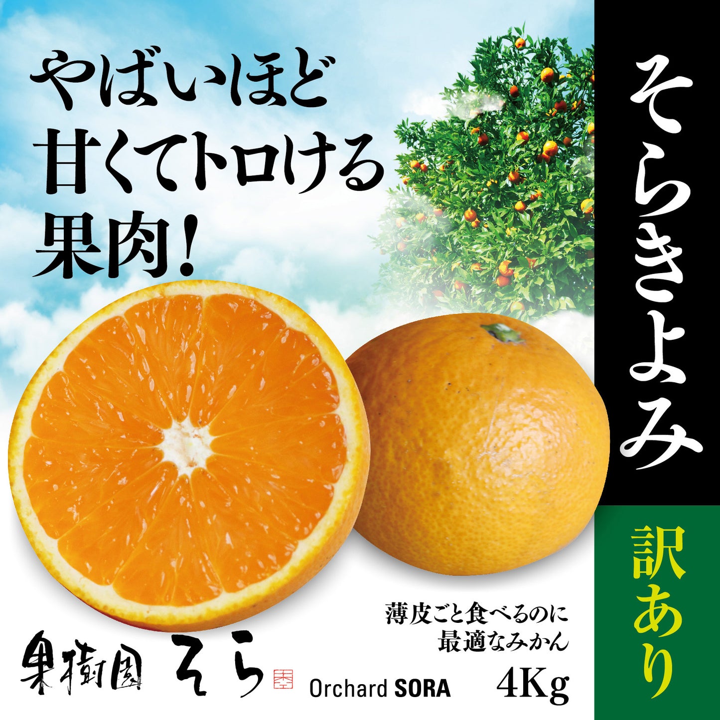 そら清見 【農家直送/訳あり】 4kg