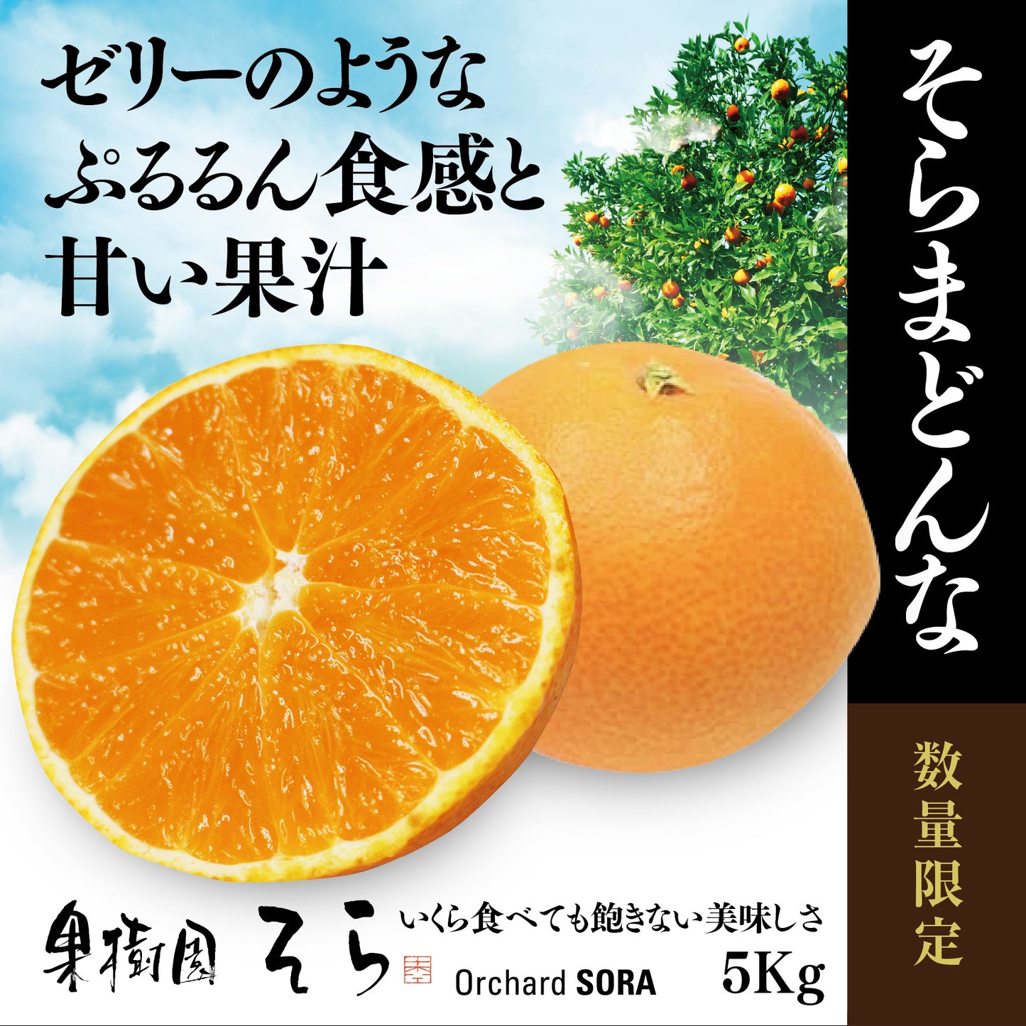 そらまどんな 愛媛産みかん/サイズ混合 5kg