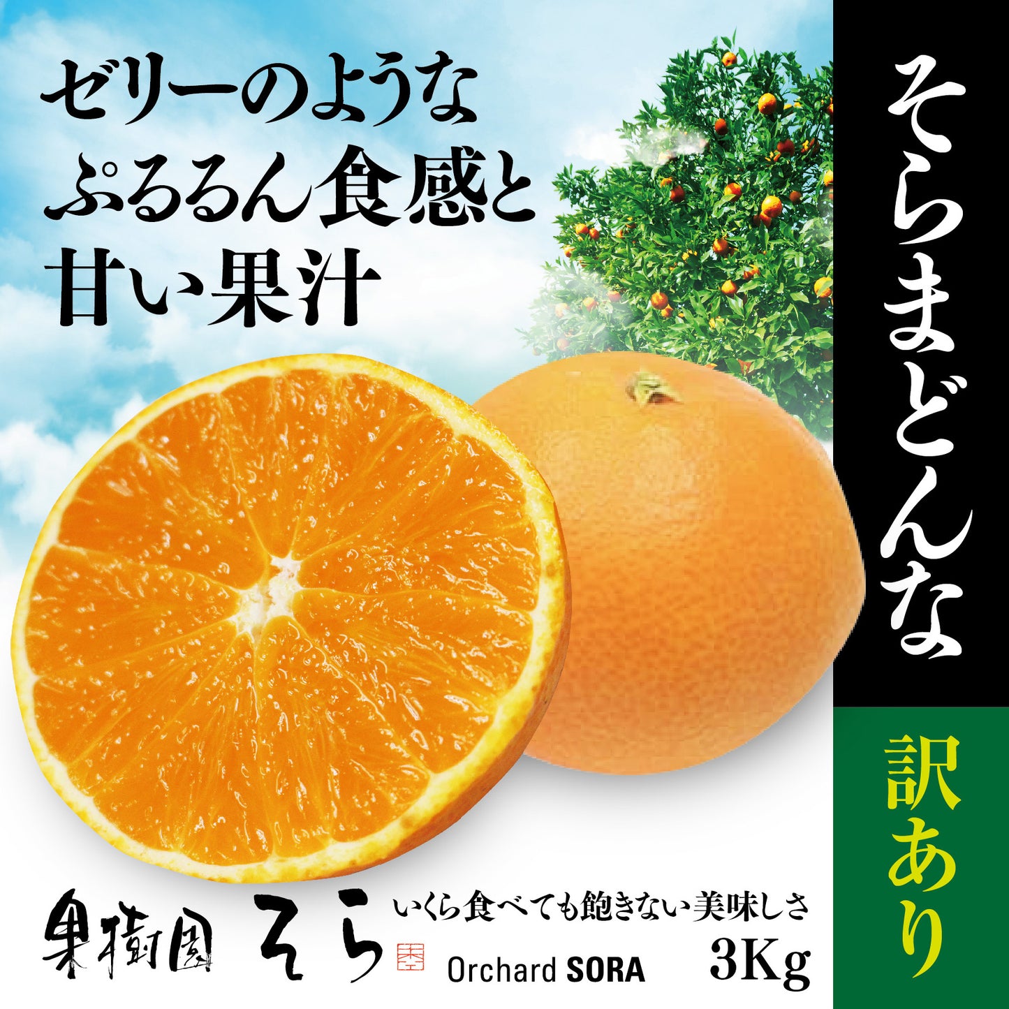 そらまどんな 愛媛産みかん/訳あり 3kg
