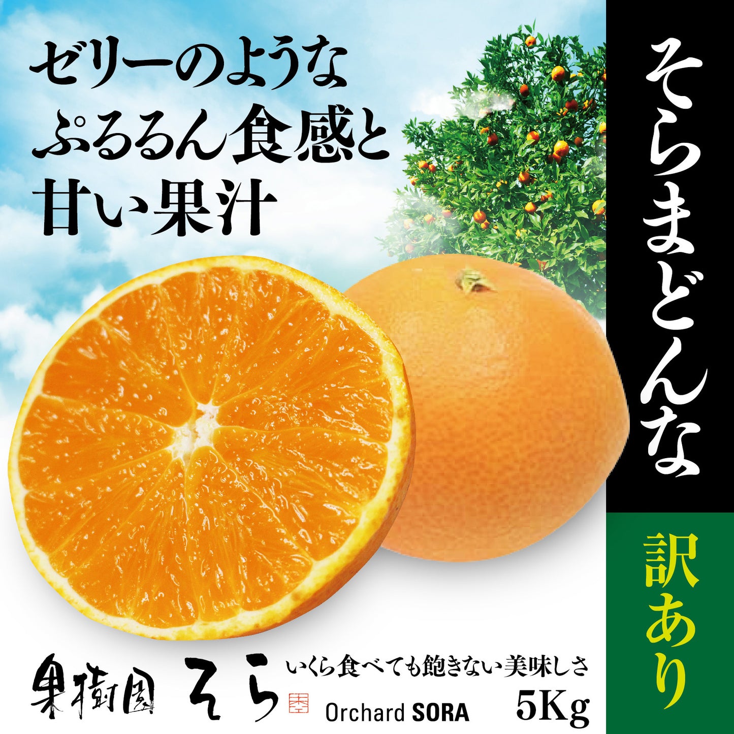そらまどんな 愛媛産みかん/訳あり 5kg