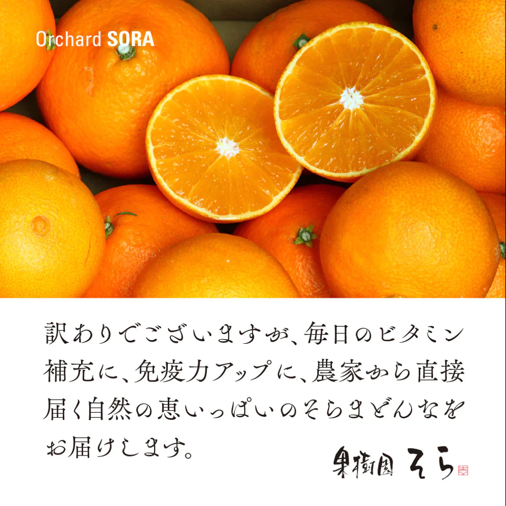 そらまどんな 愛媛産みかん/訳あり 5kg