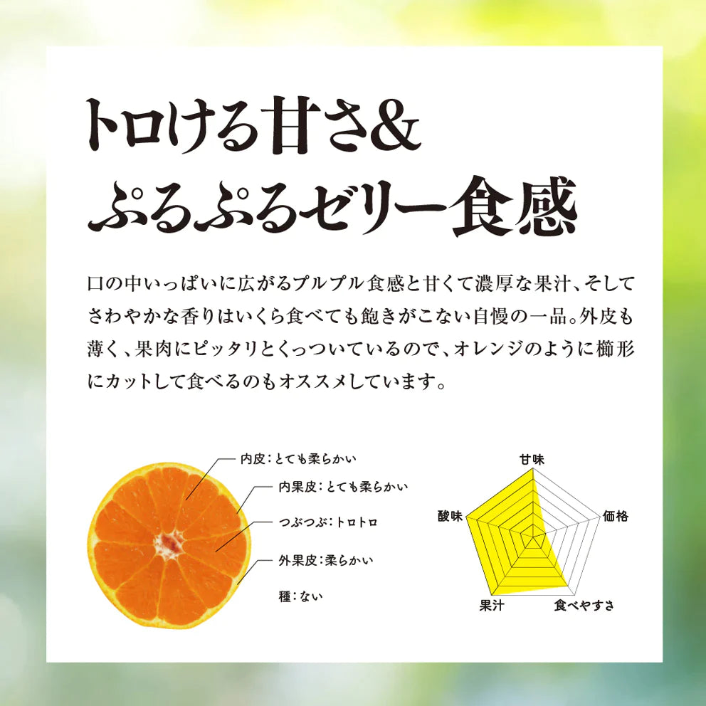 そらまどんな 愛媛産みかん/訳あり 5kg
