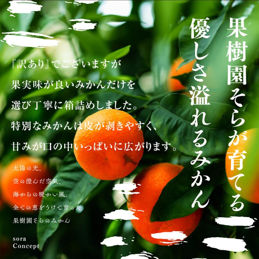みかん 愛媛産/天空の果実/サイズ混合/訳あり 10kg