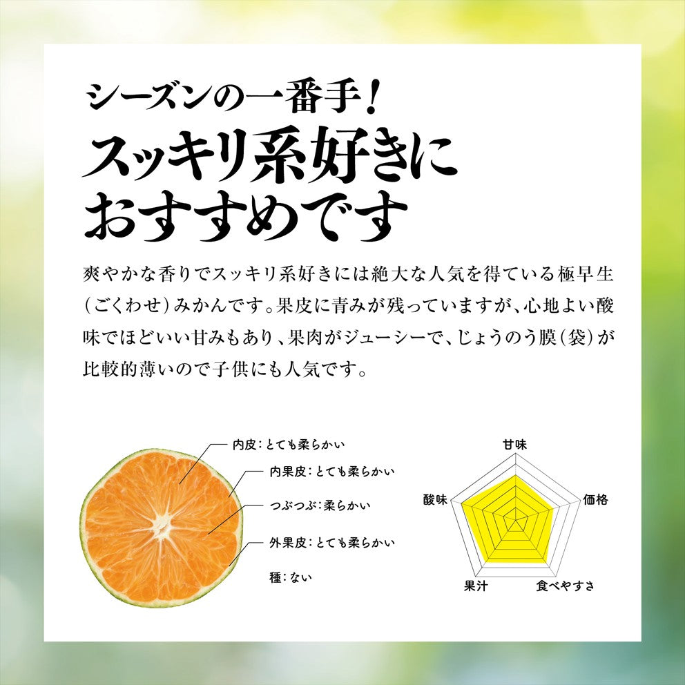 そらみかん 愛媛産/極早生 2.5kg【ご予約2024/9/20~順次発送】