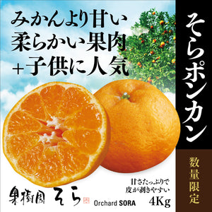 そらポンカン 【農家直送/みかんより濃く甘い】 4kg