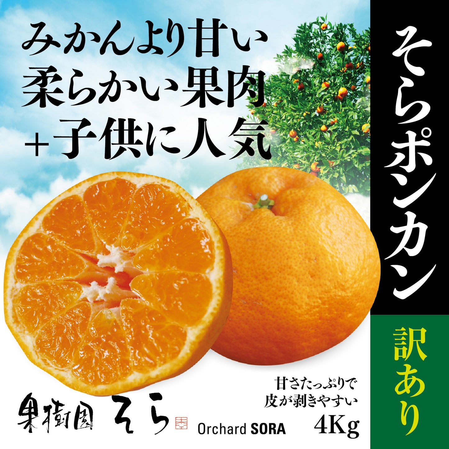 そらポンカン 【農家直送/みかんより濃く甘い/訳あり】 4kg