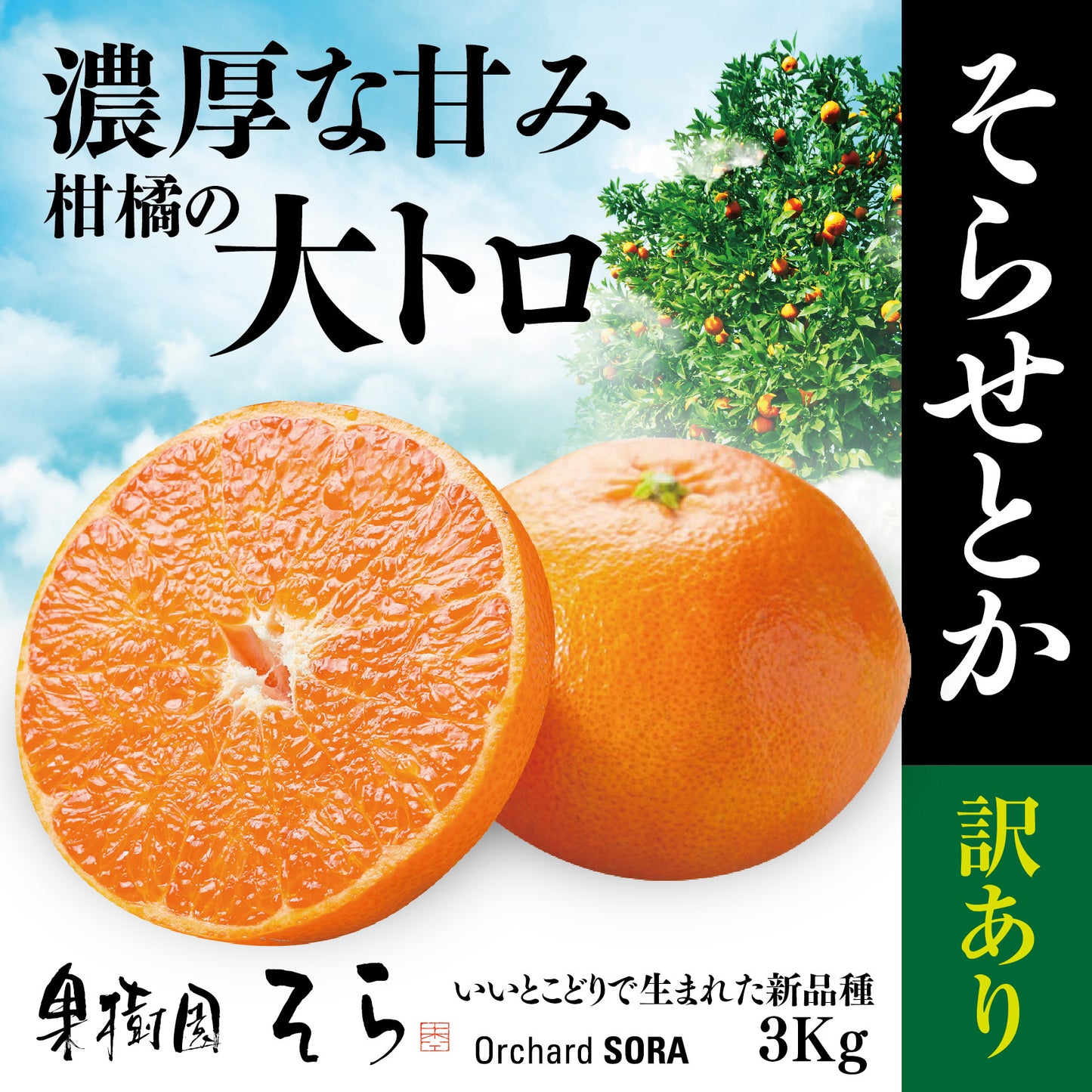 そらせとか 愛媛産みかん/訳あり3kg