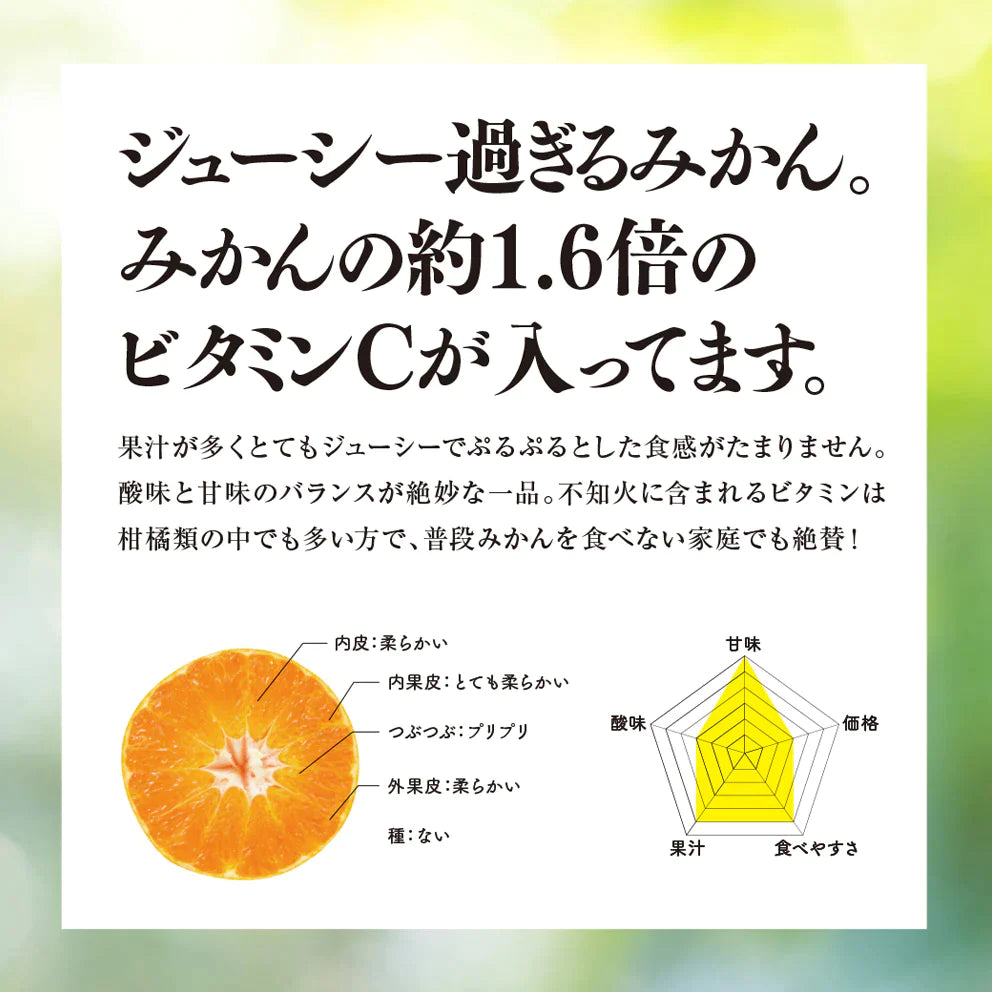 そらデコ 【愛媛産みかん/訳あり不知火】 5kg