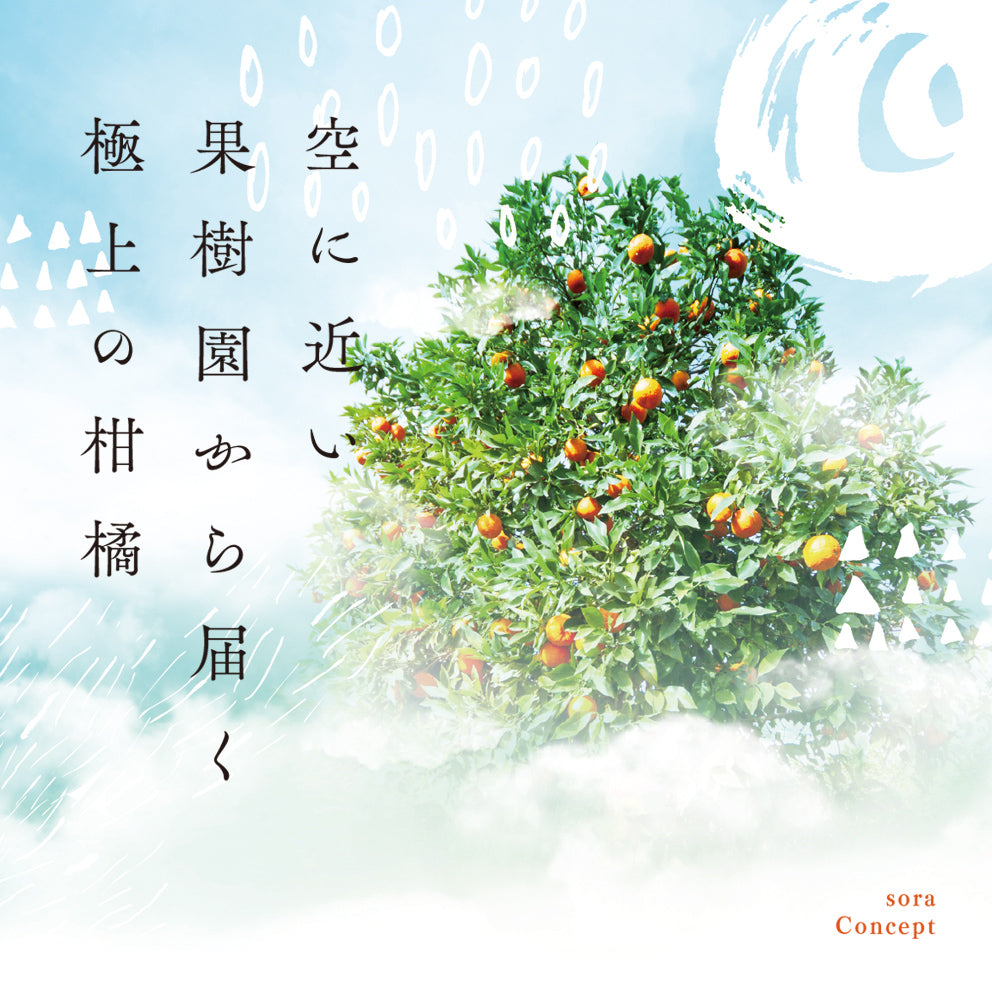 みかん 愛媛産/極上小玉 2.5kg