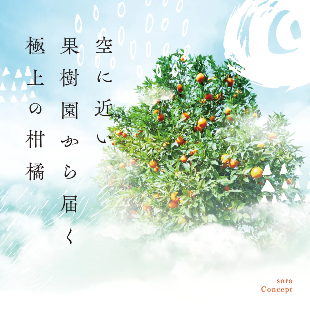 そらみかん 愛媛産/極早生/訳あり 10kg【ご予約2025/9/20~順次発送】
