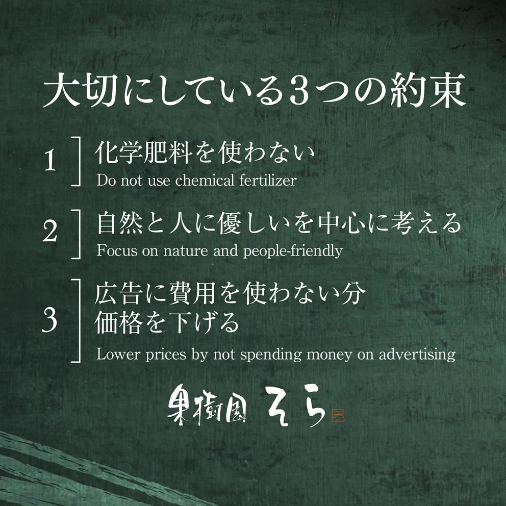 そらみかん 愛媛産/極早生/訳あり 10kg【ご予約2025/9/20~順次発送】