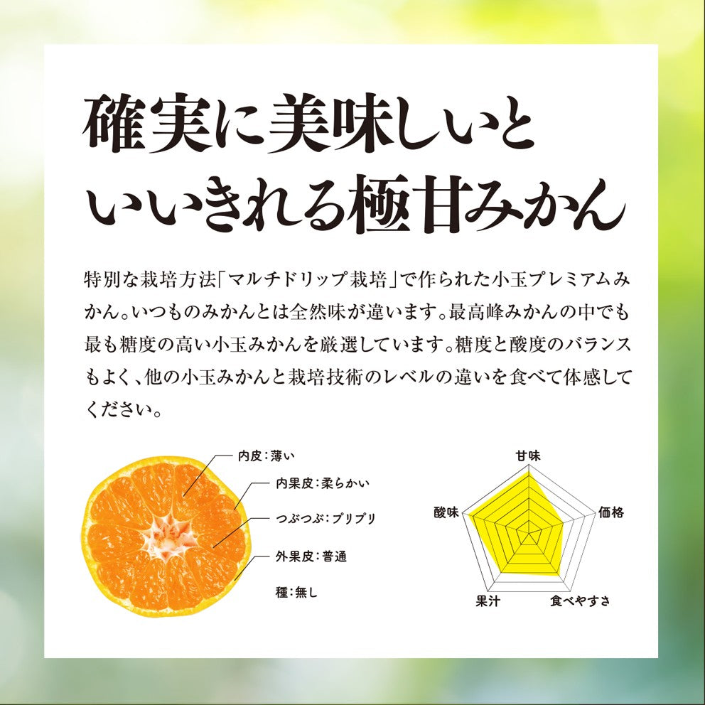 みかん 愛媛産/極上小玉 2.5kg