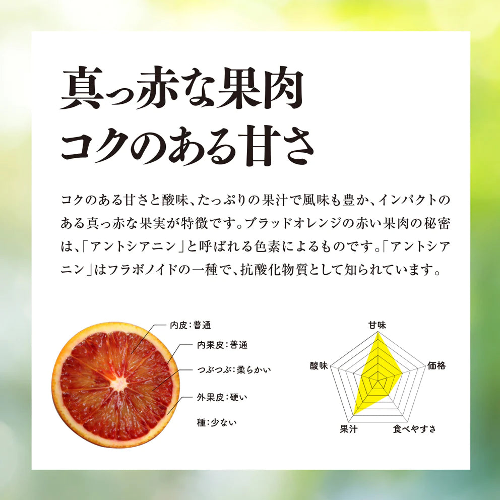 そらブラッドオレンジ【農家直送 /訳あり】3kg