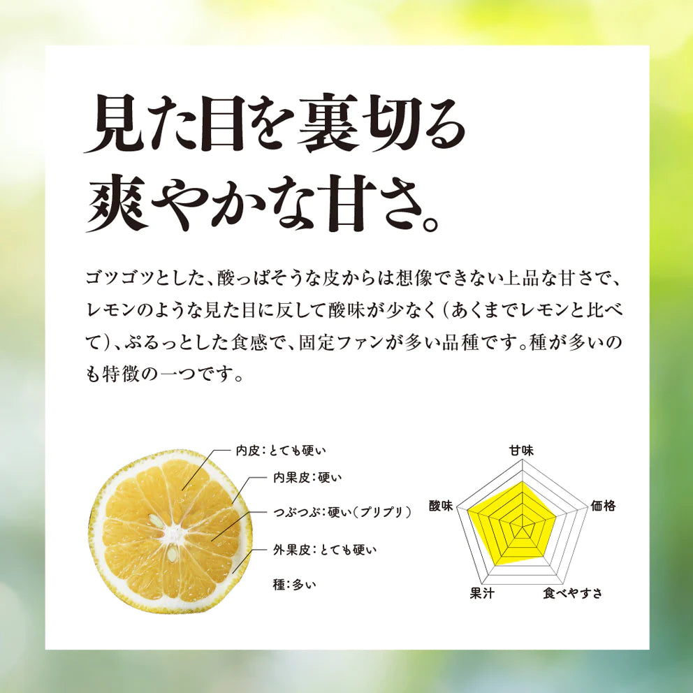 そらはるか【農家直送/訳あり】3.5kg