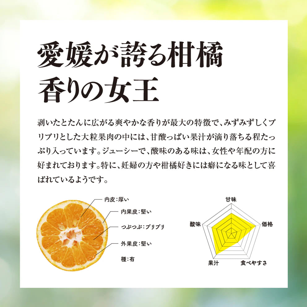 そら伊予柑【農家直送/癒される香り】4kg