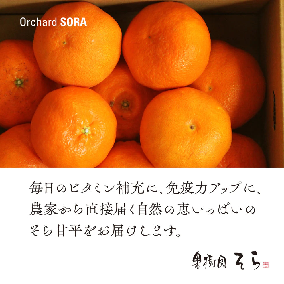 そら甘平 愛媛産みかん/訳あり3kg