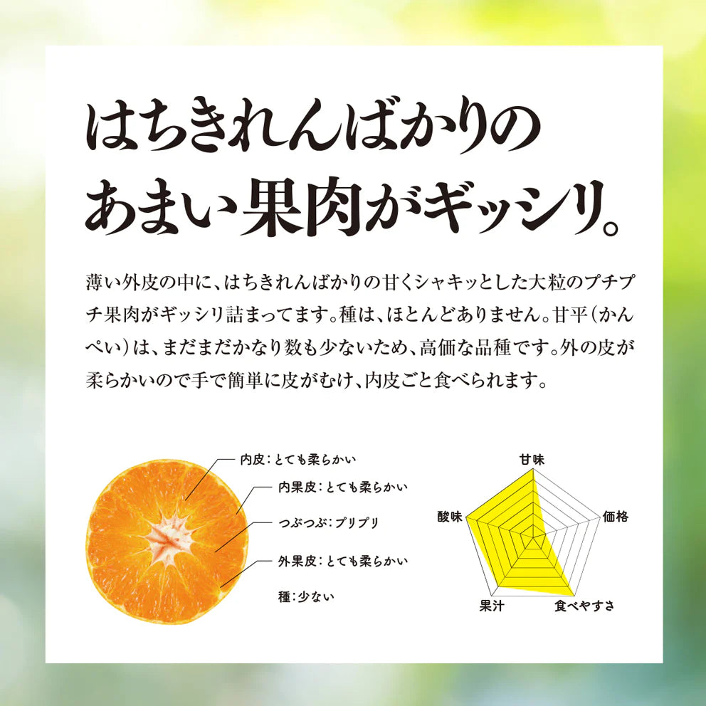そら甘平 愛媛産みかん/訳あり3kg