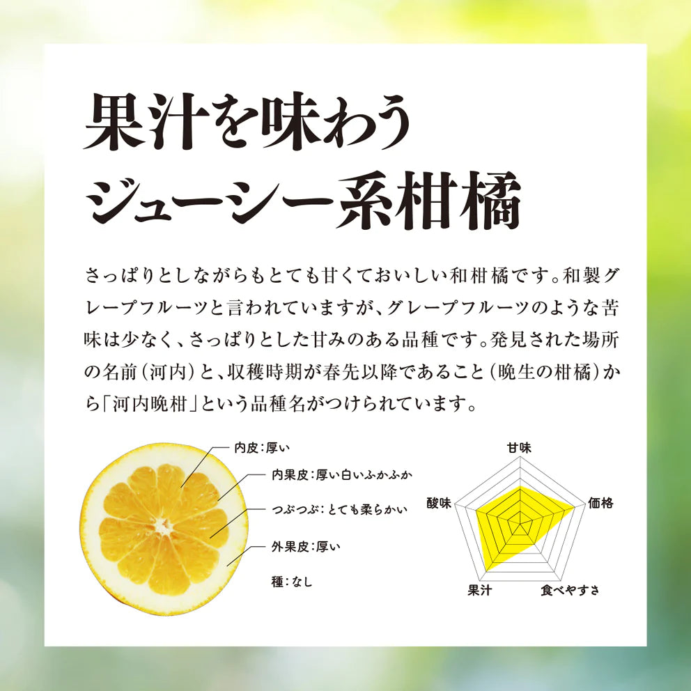 そら河内晩柑【農家直送/訳あり】4kg