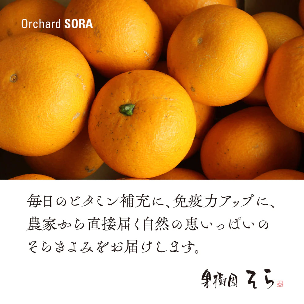 そら清見 【農家直送/訳あり】 4kg