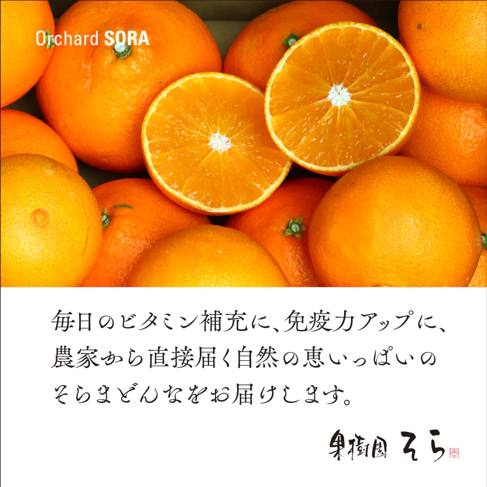 そらまどんな 愛媛産みかん/サイズ混合 3kg