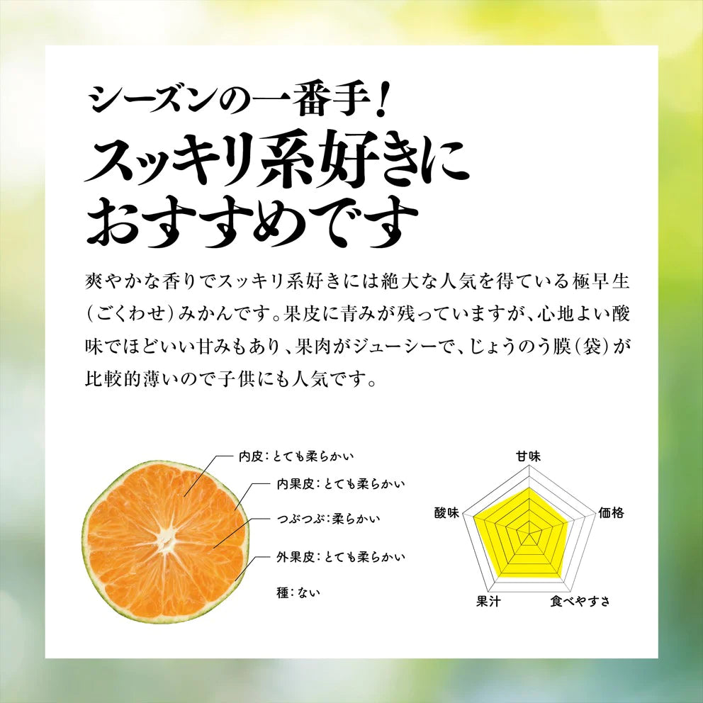 そらみかん 愛媛産/極早生/訳あり 10kg【ご予約2025/9/20~順次発送】