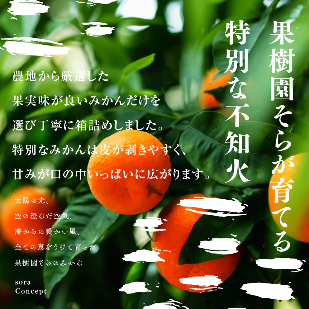 そらデコ 【愛媛産みかん/サイズ混合/不知火】 3kg