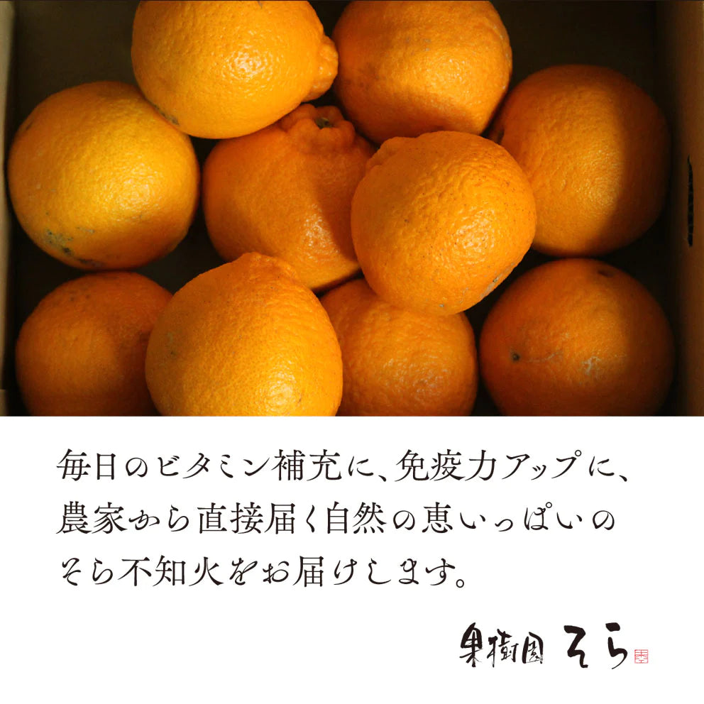 そらデコ 【愛媛産みかん/サイズ混合/不知火】 3kg