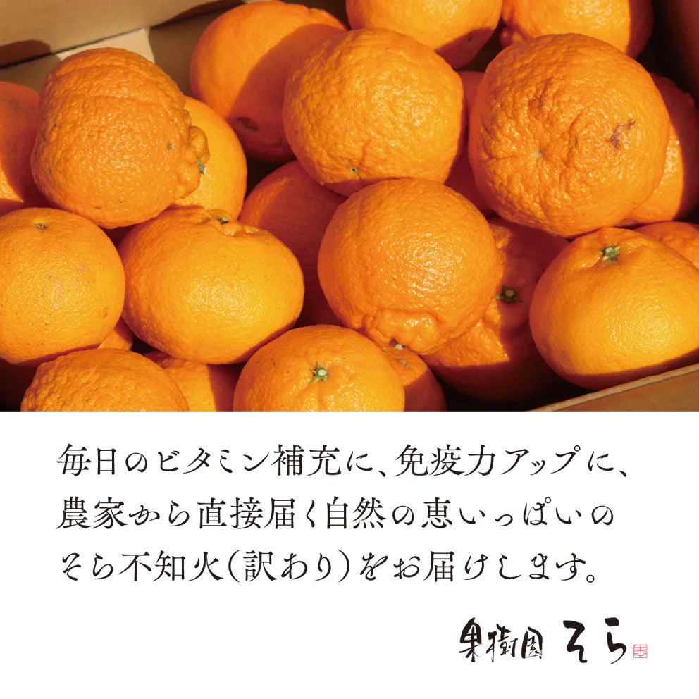 そらデコ 【愛媛産みかん/訳あり不知火】 4kg